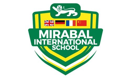 MindGurukulam client institution 1